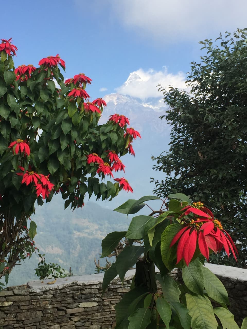 Understanding Altitude Sickness: A Trekker's Guide