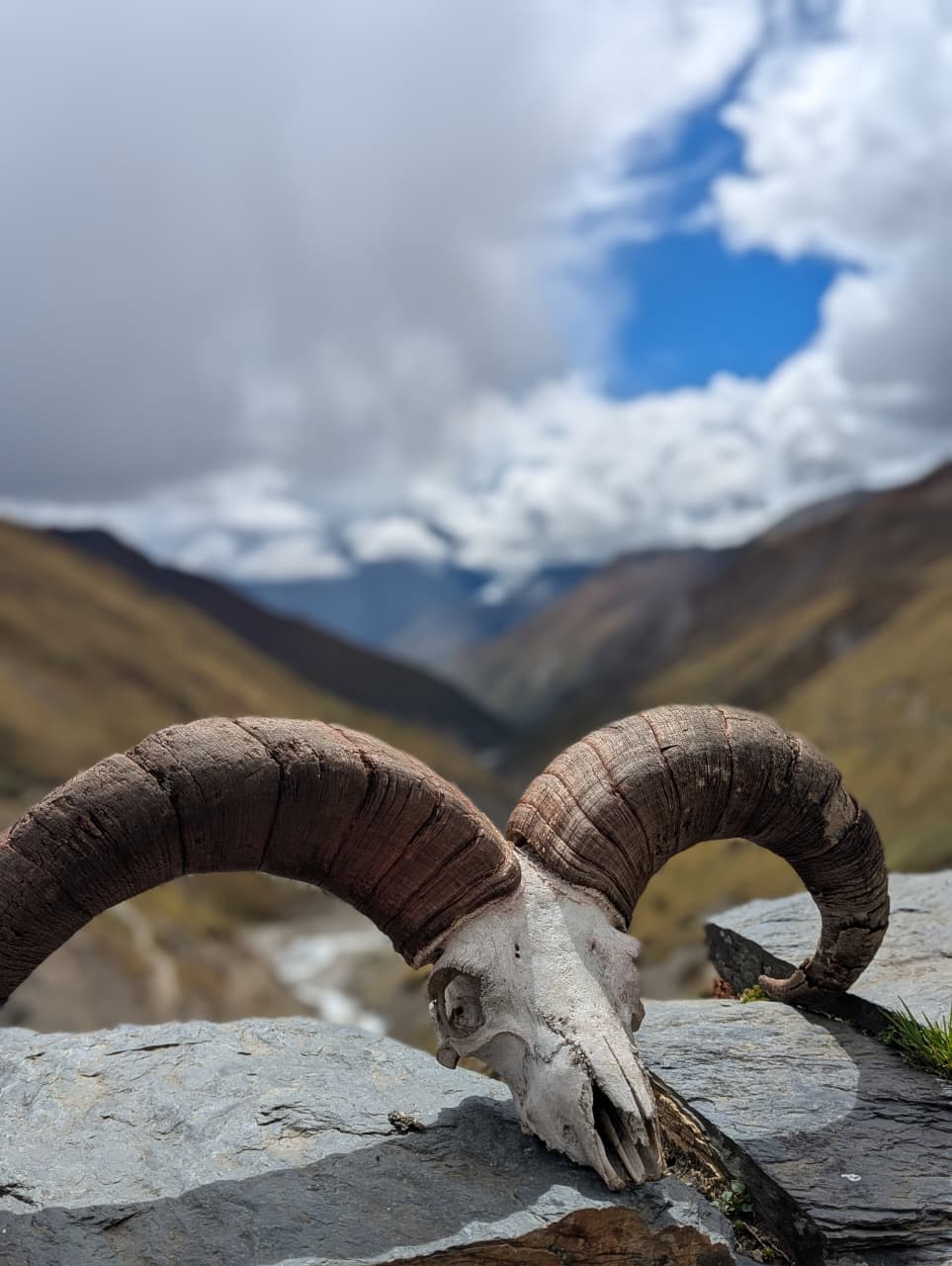 Annapurna Circuit Trek